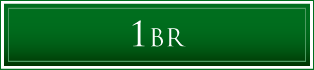 1BR